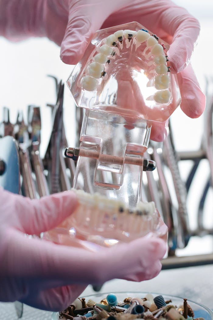 Close-up of hands in pink gloves holding a dental model with tools in the background.